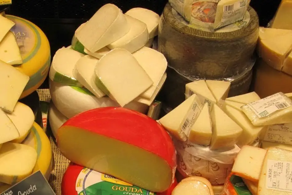 Formaggi