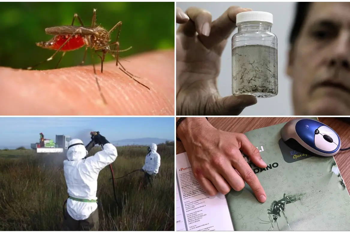 West Nile, l'Isola punta sulla prevenzione