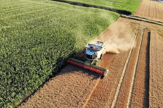 Agricoltura (foto simbolo Ansa)