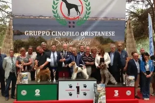 La mostra canina dello scorso anno a Santa Giusta (foto Sara Pinna)