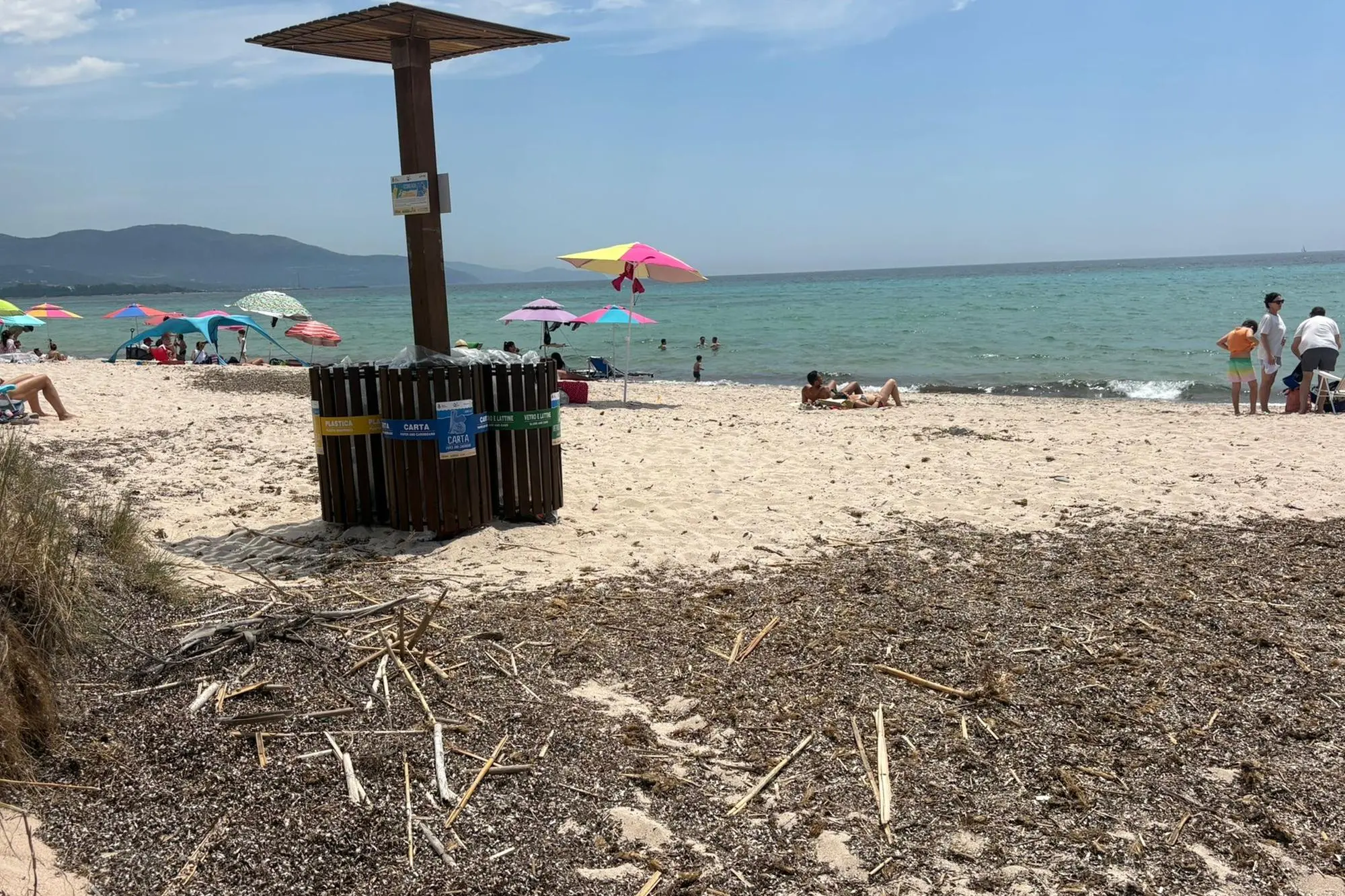 Le canne sul litorale quartese (foto Lai)