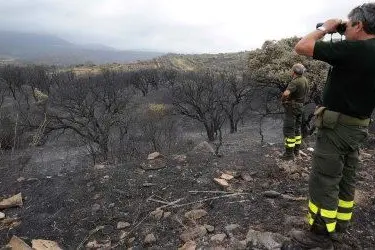Gli uomini della forestale osservano la devastazione provocata dall'incendio ad Arbus - foto Nonnis