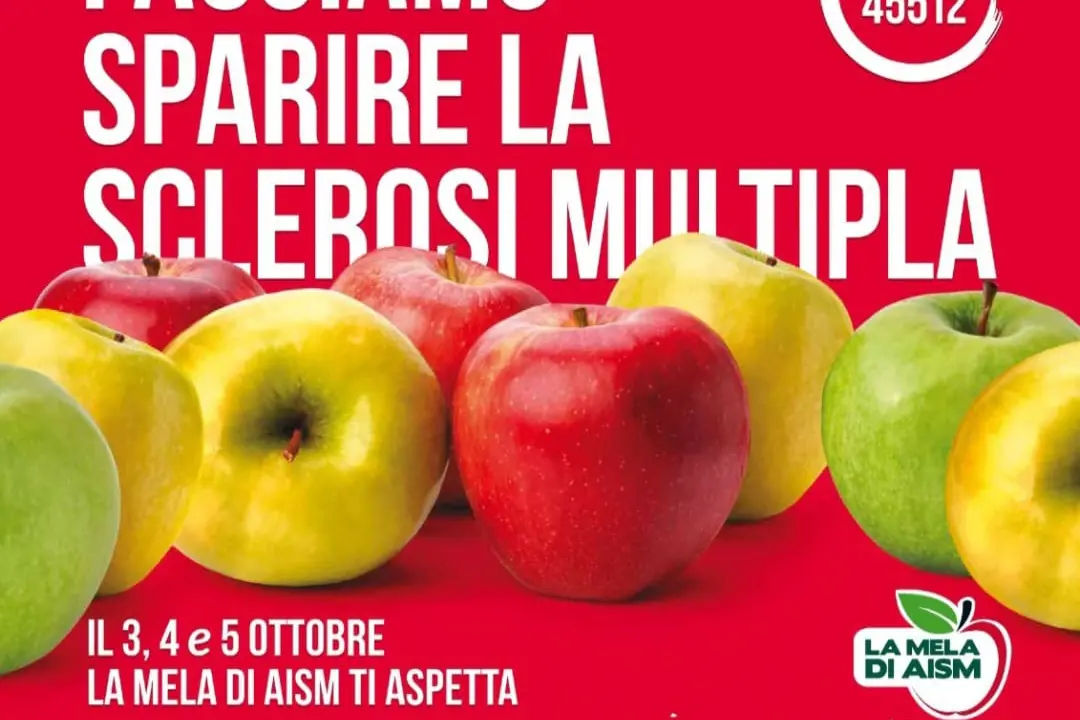 L'iniziativa