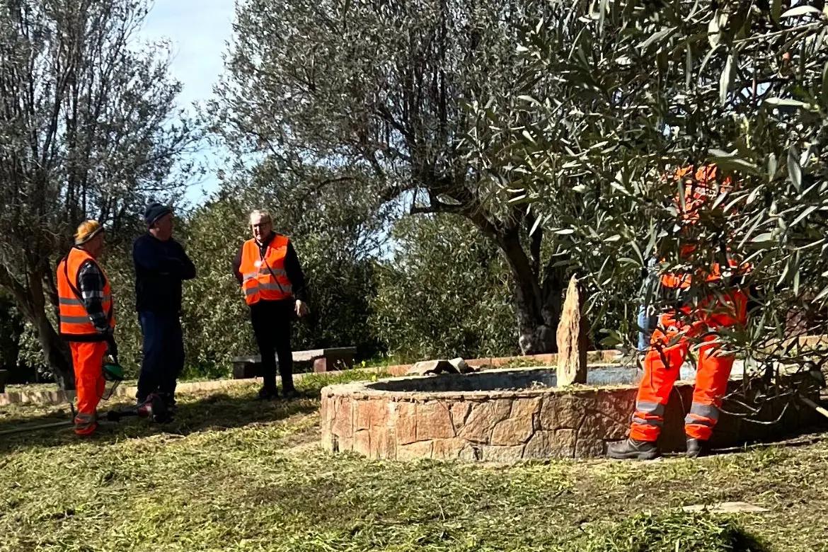 Operai al lavoro in un cantiere forestale