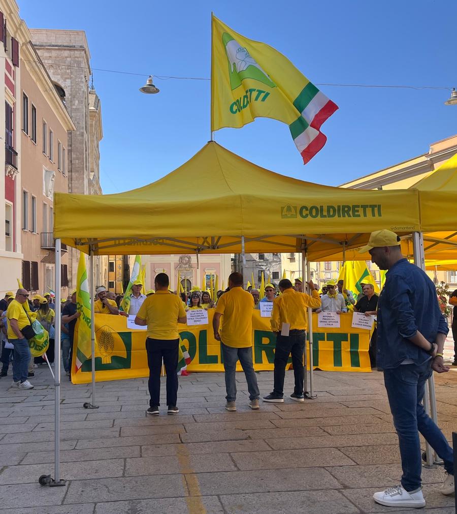 Lotta ai trafficanti di olio e grano