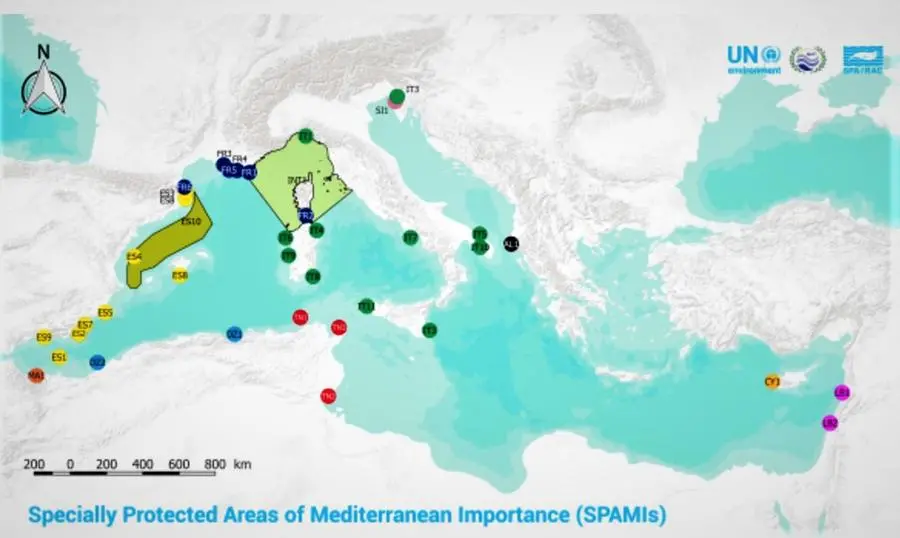 Aree marine protette Aspim nel Mediterraneo (Foto Ufficio stampa Area Marina Capo Caccia- Isola Piana)