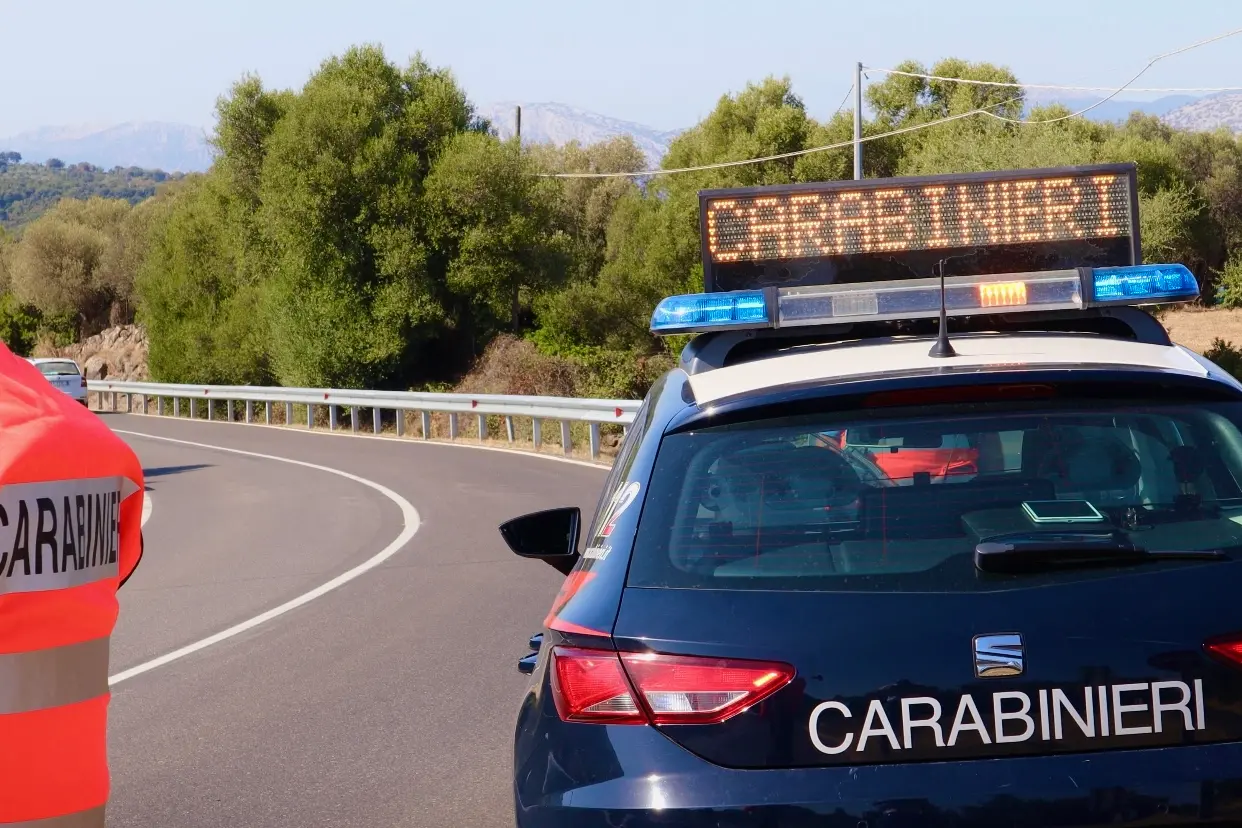 Piantagione di marijuana a Dualchi: giovane in arresto (foto carabinieri)