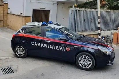 Carabinieri (Ansa)