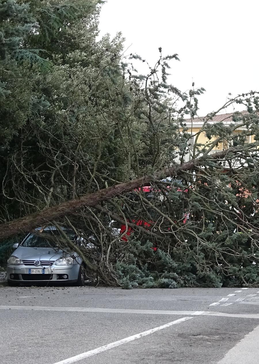Alberi su auto e strade, emergenza in tutta la provincia