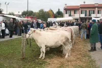Una immagine simbolo di fiera del bestiame