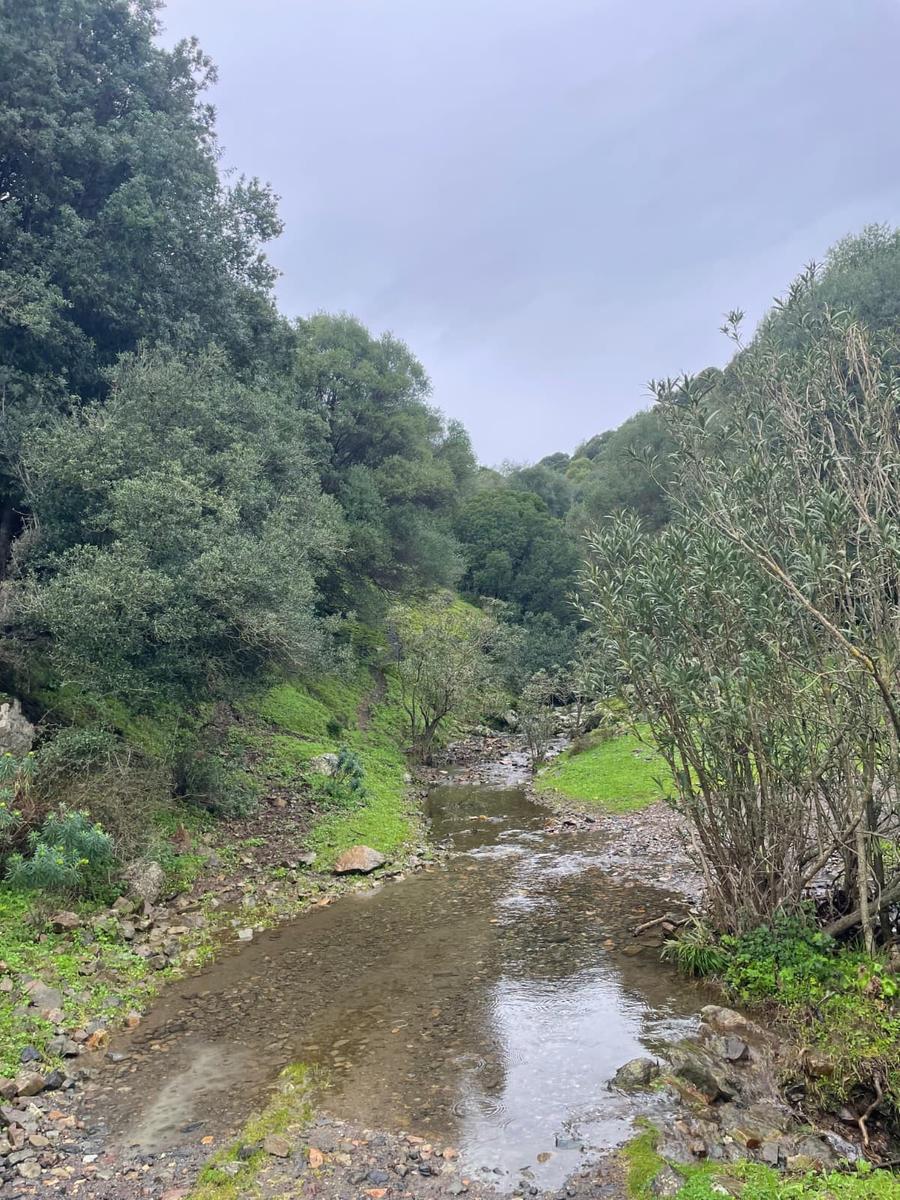 Strade montane danneggiate dal maltempo: sopralluogo a Burcei e Sinnai