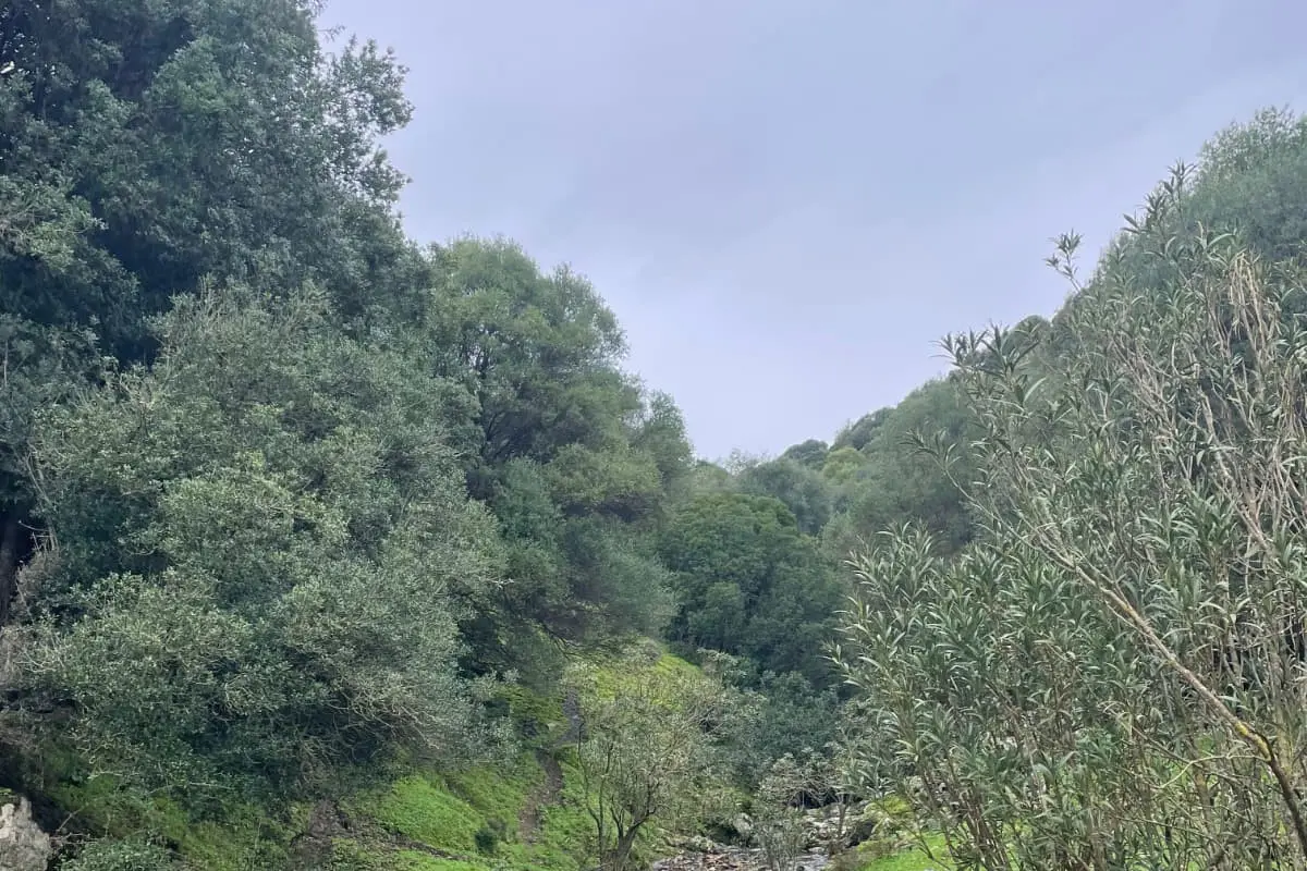 Una strada campestre in territorio di Burcei (foto Serreli)