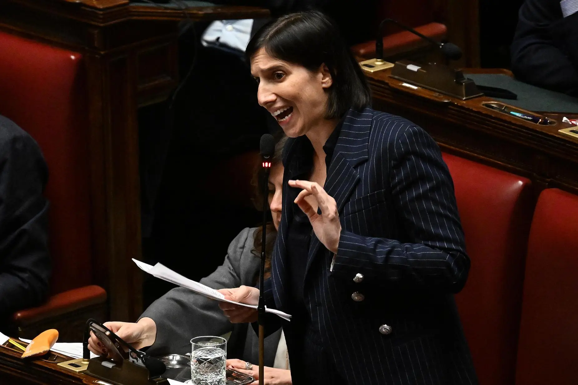 Elly Schlein (ANSA/RICCARDO ANTIMIANI)