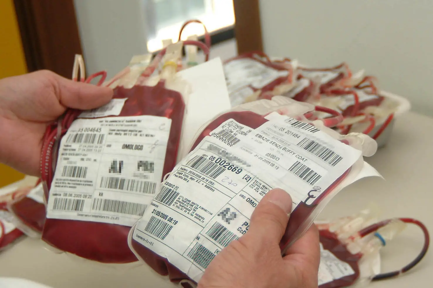 Sacche per la trasfusione di sangue  (foto L'Unione Sarda)