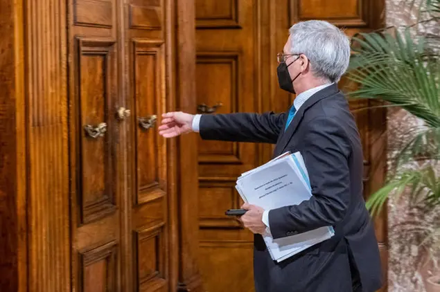 Il ministro dell'Economia Daniele Franco (Ansa)