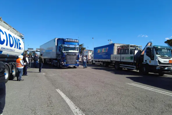Autotrasportatori (foto Ansa)