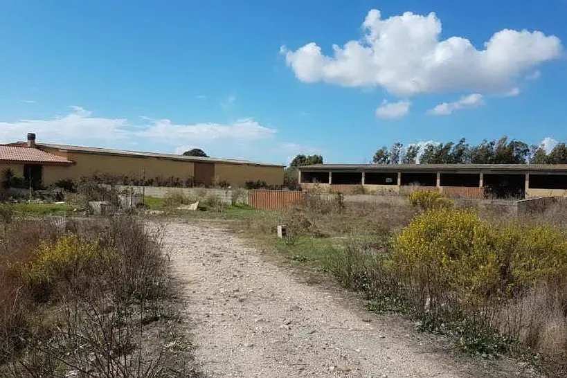 L'ovile comunale di Cabras