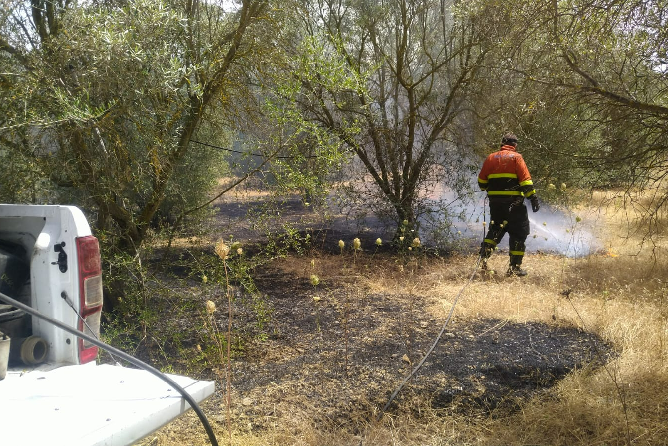 Grosso incendio nelle campagne di Serdiana, danni gravi a piante ed uliveti