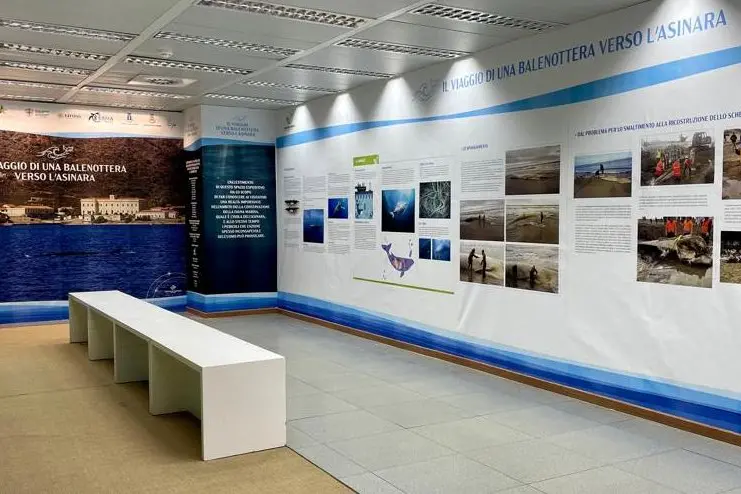 La mostra all'aeroporto di Alghero (foto Pala)