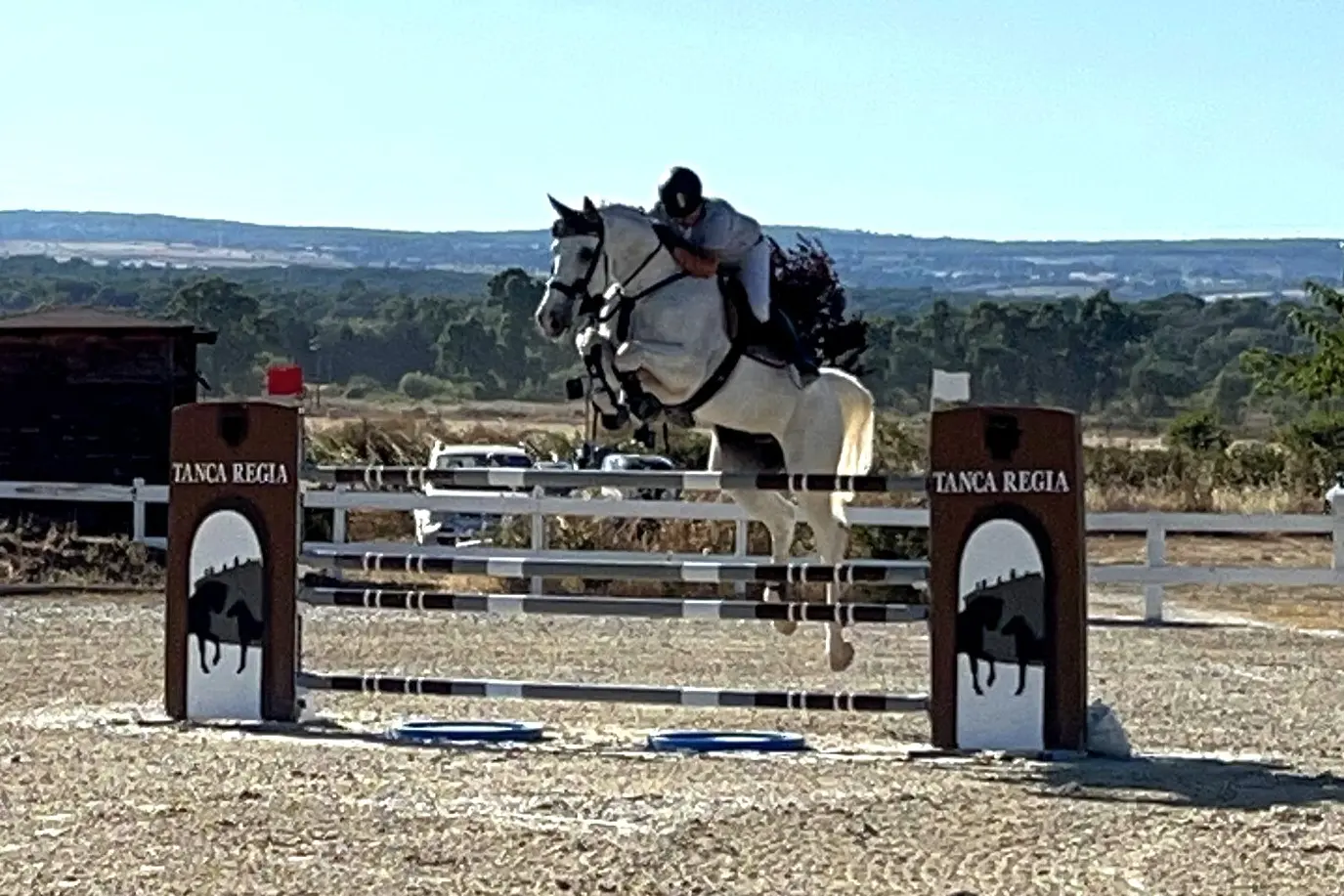 Un binomio in gara nel salto ostacoli a Tanca Regia