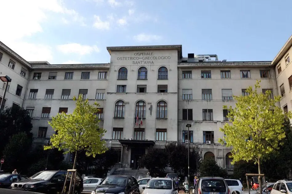 L'ospedale Sant'Anna di Torino (Ansa)