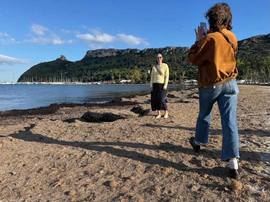 Il dilemma della posidonia al Poetto, rimuoverla o lasciarla sulla sabbia?