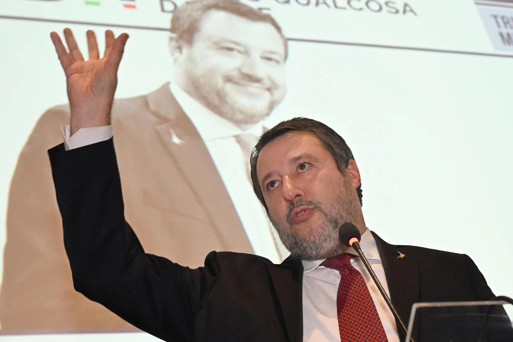 Matteo Salvini (Ansa)