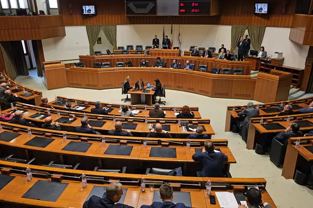Gli stati generali in Consiglio