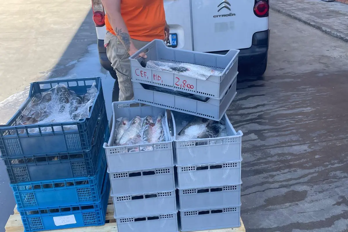 Il pesce donato (Foto Asl)