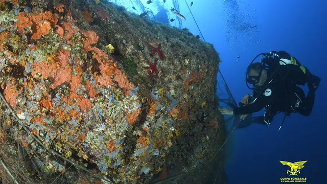 https://immagini.unionesarda.it/version/c:YzkzNDY4MmEtZTc0Zi00:YjZlYmEyZTYtY2IxYy00/image.webp?f=16:9