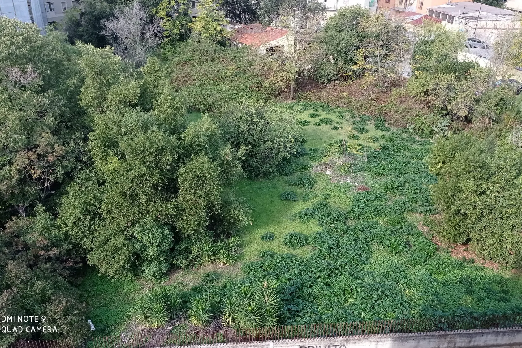 L'antico orto botanico di Sassari in via Romana (foto ufficio stampa)