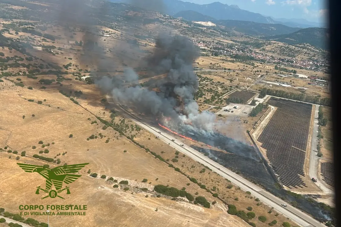 L'incendio a Ottana (foto Corpo Forestale)