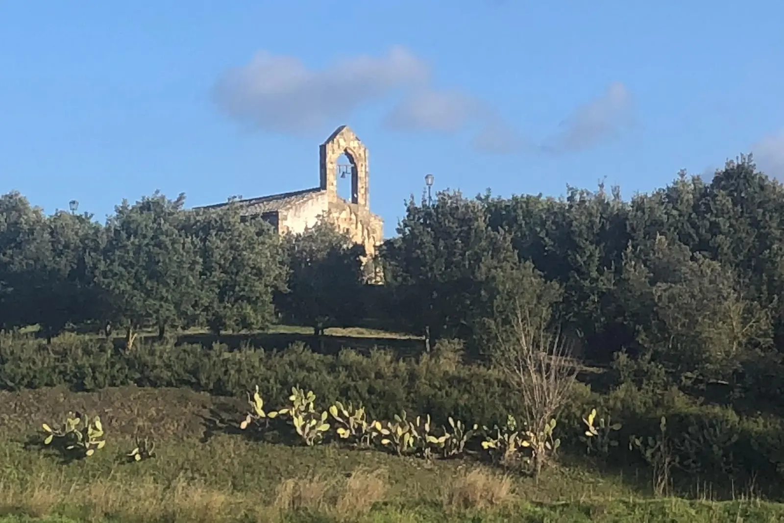 Il parco di Santa Mariedda (Sirigu)