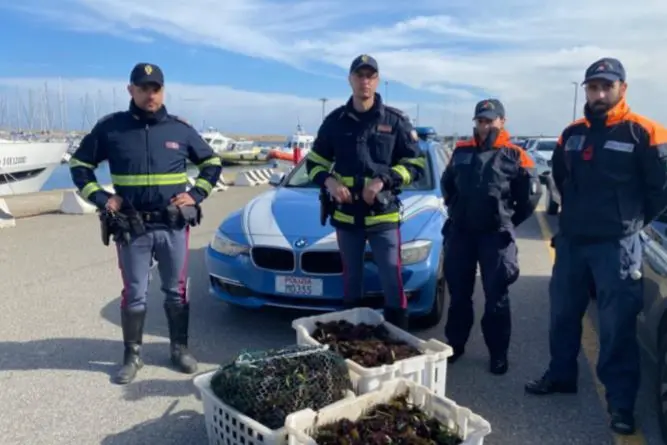 Le ceste sequestrate (Foto Polizia di Stato)
