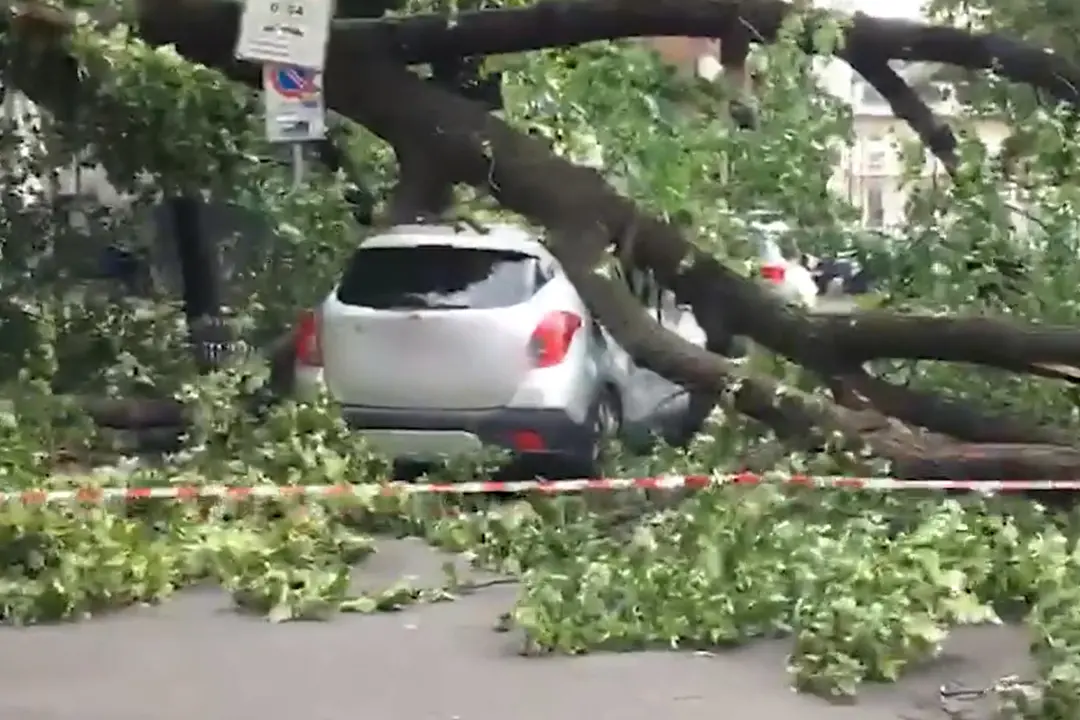 Maltempo a Milano, albero cade in piazzale Libia: nessun ferito