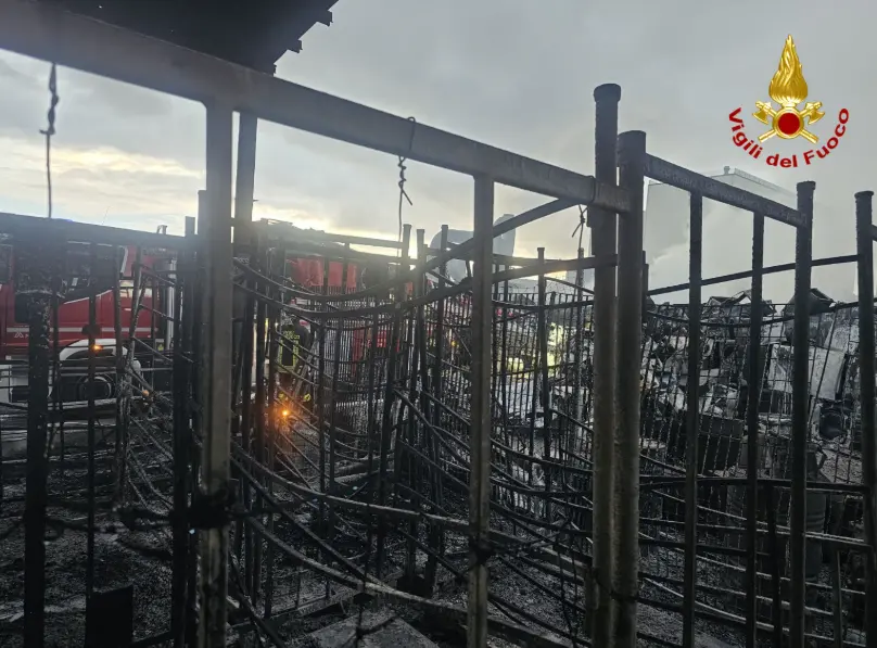 contentid/6887bca3-e874-45e7-ad44-e6c2195b9b28