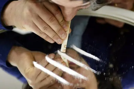 Cocaina (foto simbolo Ansa)