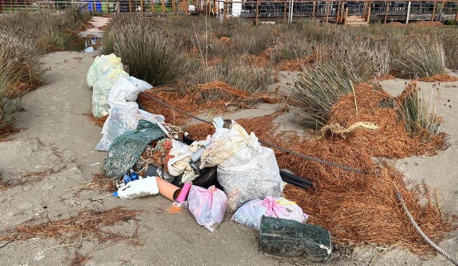 Lasciati sulle dune i bustoni di rifiuti  raccolti dai volontari