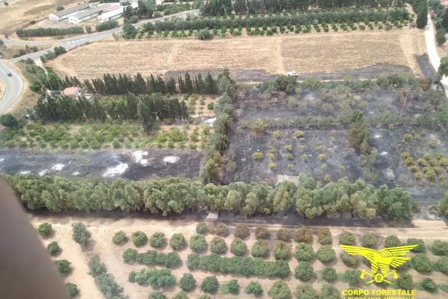Il rogo a Villacidro (foto Corpo forestale)