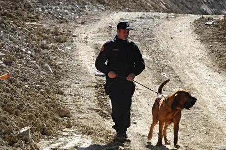 Attività di ricerca (Ansa)