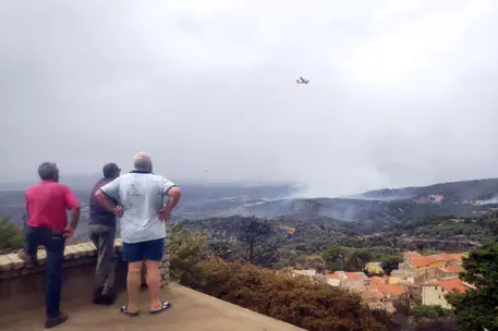 Gli incendi (Ansa)