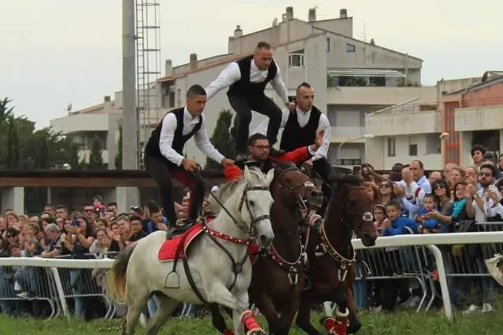 Pariglie all'ippodromo di Sassari