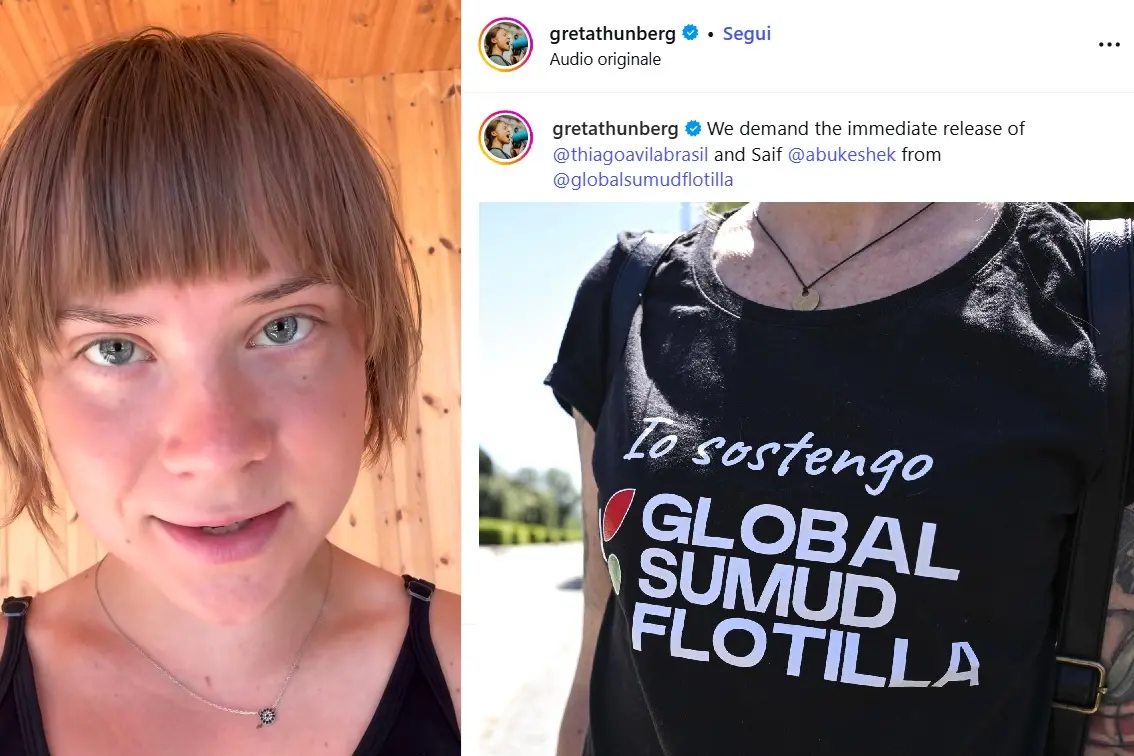 Il post di Greta Thumberg