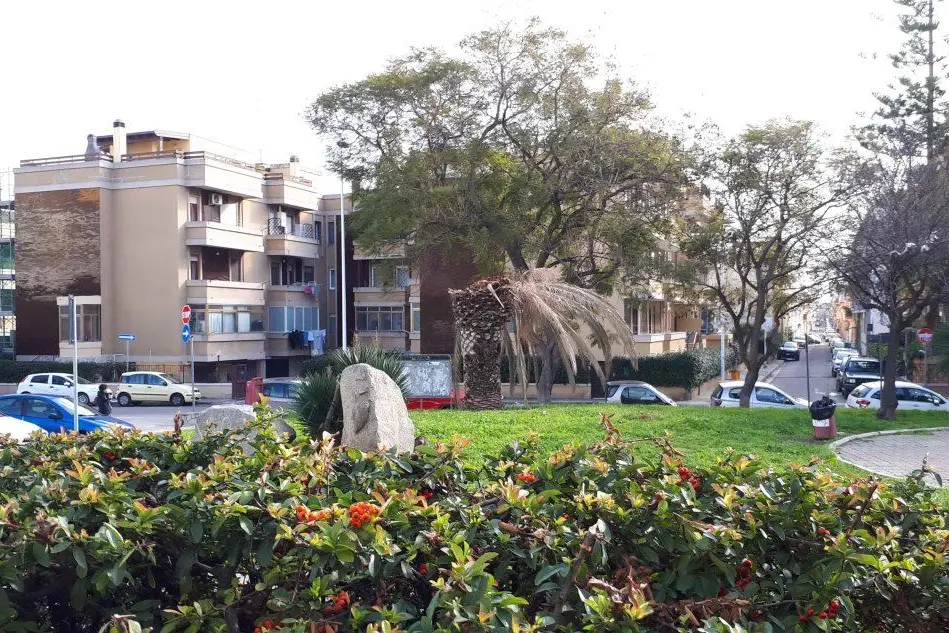 La palma morta al parco del Sole (Foto G.Daga)
