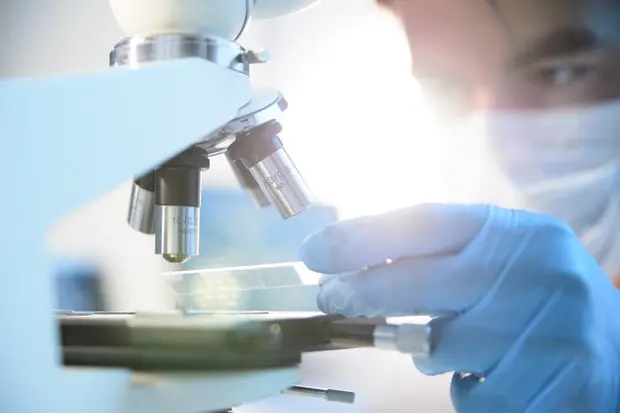 Tumori, con i nuovi farmaci aumenta la sopravvivenza nei pazienti (foto Ansa)