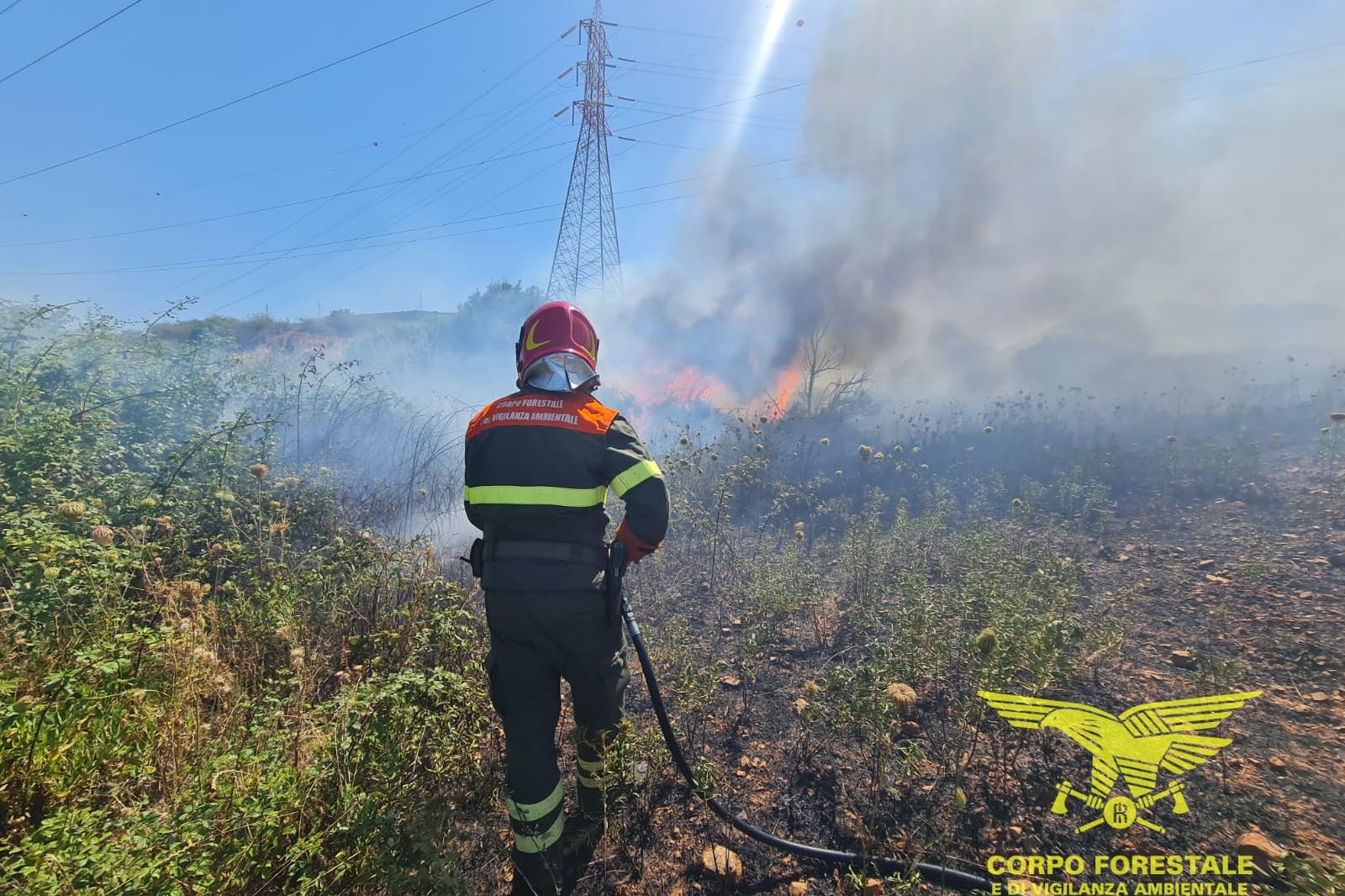 Le fiamme a Sarroch (Foto Corpo forestale)