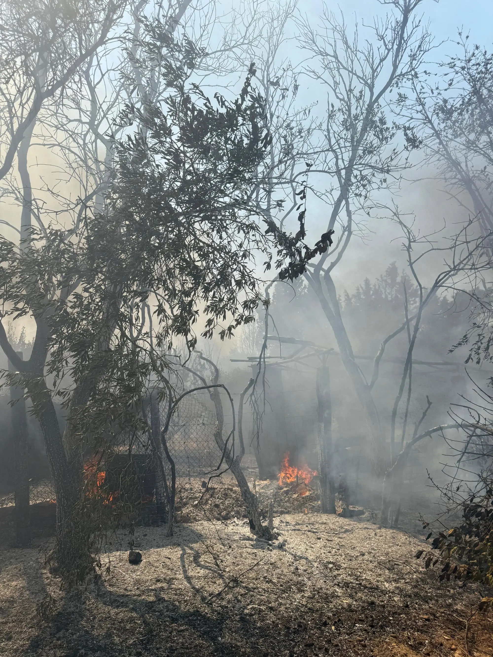 La zona danneggiata dall'incendio a Riu Peis, Villacidro (foto Deidda)