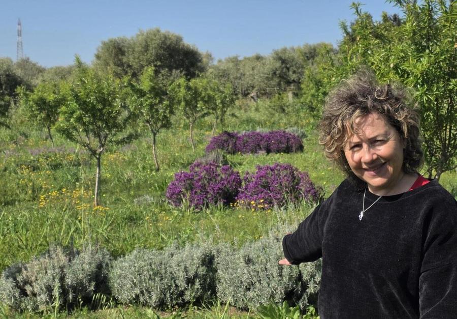 «Il mandorlo è una risorsa per l’Isola»