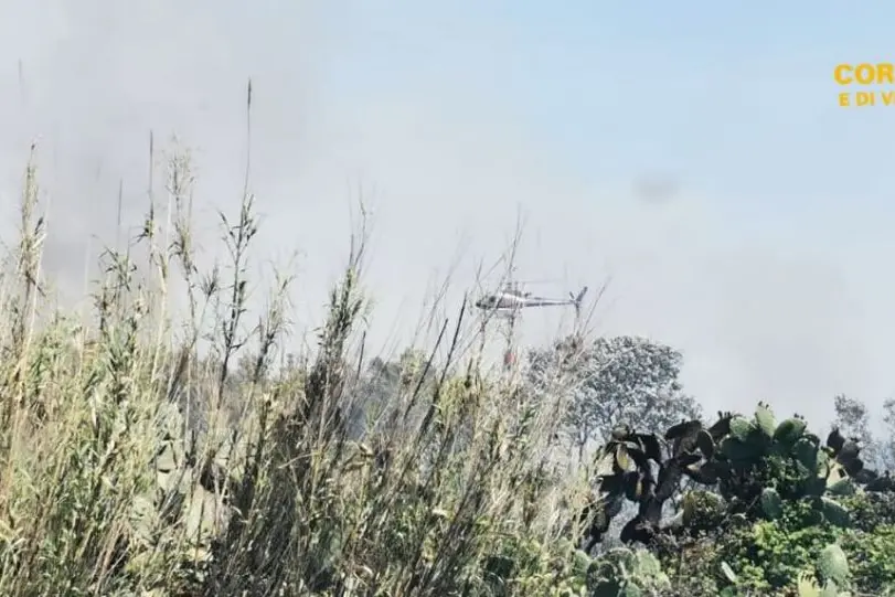 Un elicottero in azione (Foto Corpo Forestale)