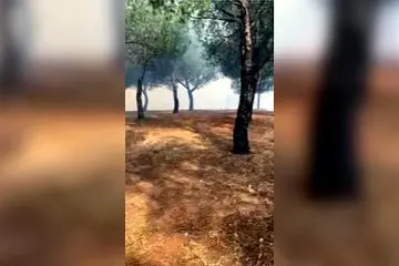 Incendio a Nuraminis, le fiamme lambiscono il paese